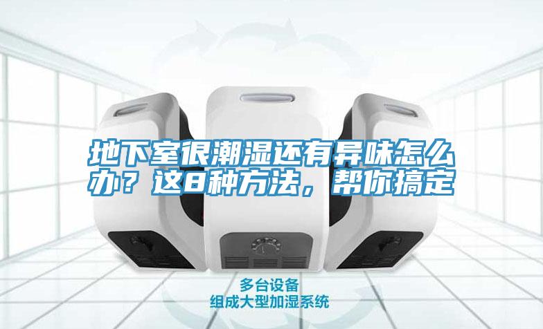 地下室很潮濕還有異味怎么辦？這8種方法，幫你搞定