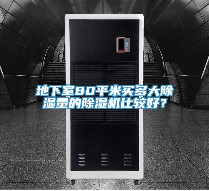 地下室80平米買(mǎi)多大除濕量的除濕機(jī)比較好？