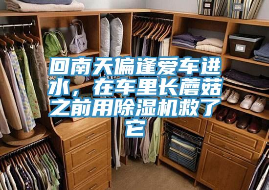 回南天偏逢愛(ài)車(chē)進(jìn)水，在車(chē)?yán)镩L(zhǎng)蘑菇之前用除濕機(jī)救了它
