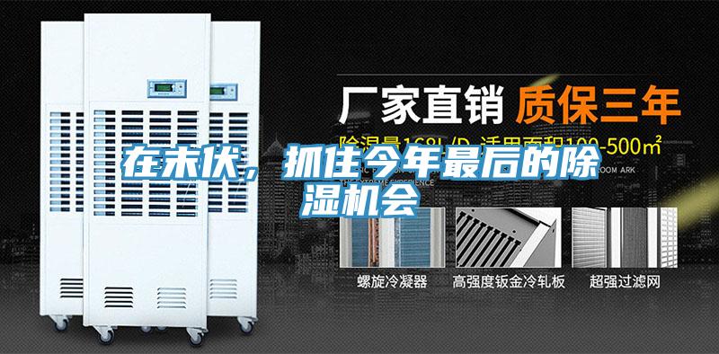 在末伏，抓住今年最后的除濕機(jī)會(huì)