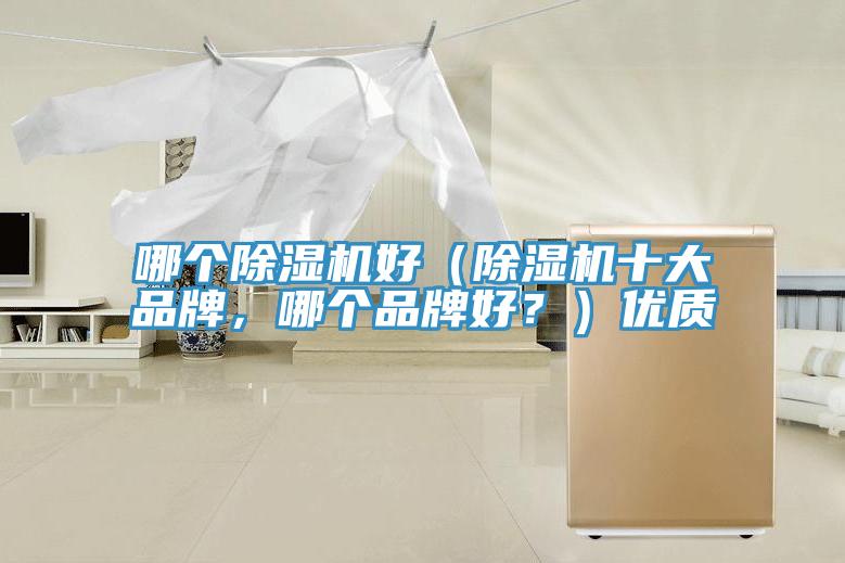 哪個除濕機(jī)好（除濕機(jī)十大品牌，哪個品牌好？）優(yōu)質(zhì)