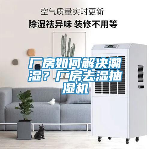 廠房如何解決潮濕？廠房去濕抽濕機