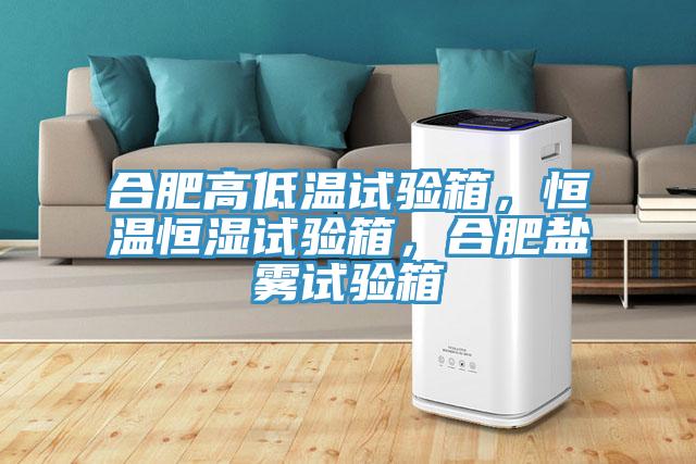 合肥高低溫試驗(yàn)箱，恒溫恒濕試驗(yàn)箱，合肥鹽霧試驗(yàn)箱