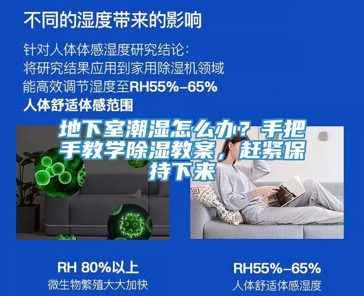 地下室潮濕怎么辦？手把手教學除濕教案，趕緊保持下來