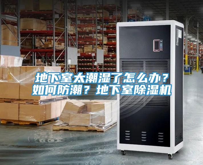 地下室太潮濕了怎么辦？如何防潮？地下室除濕機(jī)