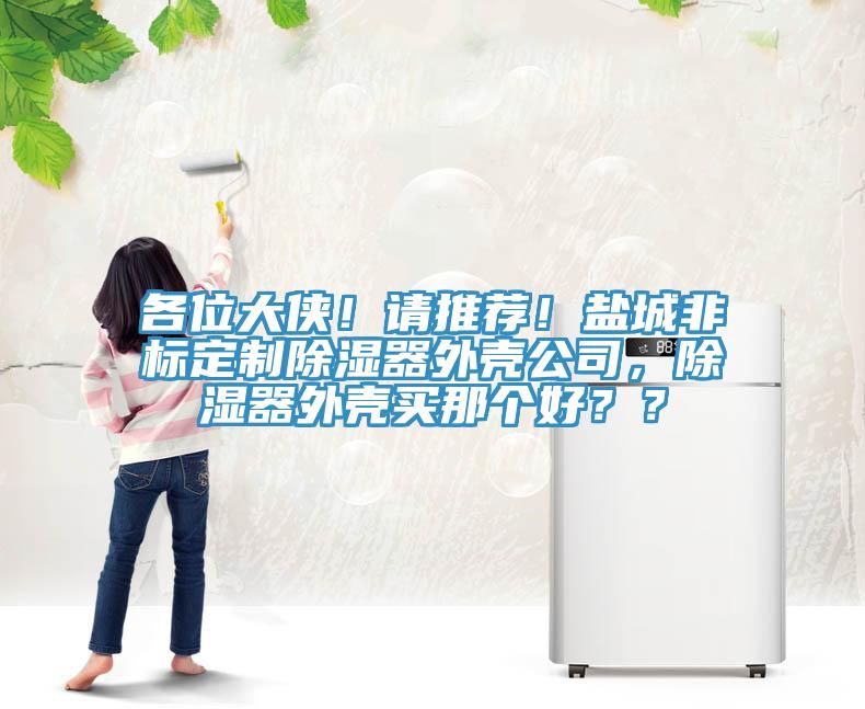 各位大俠！請(qǐng)推薦！鹽城非標(biāo)定制除濕器外殼公司，除濕器外殼買那個(gè)好？？