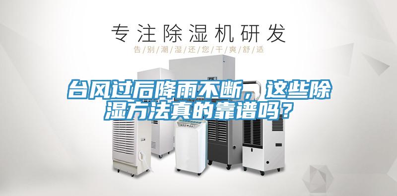 臺風過后降雨不斷，這些除濕方法真的靠譜嗎？