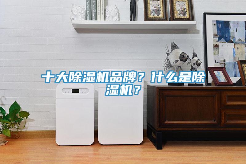 十大除濕機(jī)品牌？什么是除濕機(jī)？