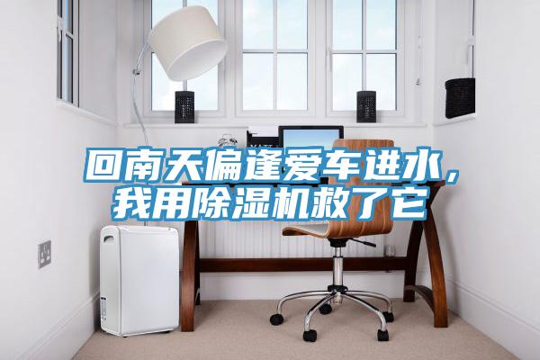 回南天偏逢愛(ài)車(chē)進(jìn)水，我用除濕機(jī)救了它