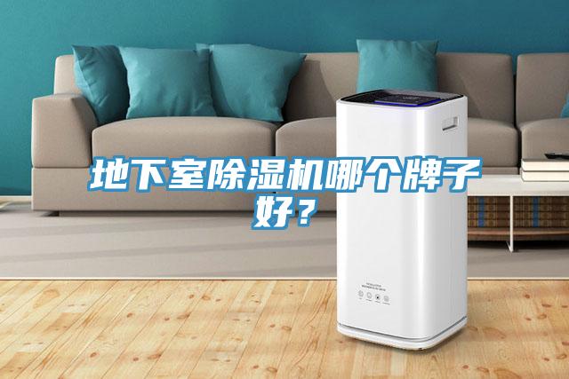 地下室除濕機(jī)哪個牌子好？