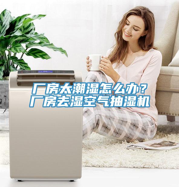 廠房太潮濕怎么辦？廠房去濕空氣抽濕機