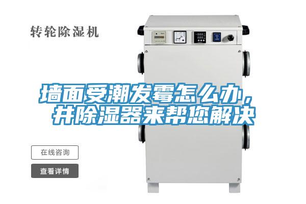 墻面受潮發(fā)霉怎么辦，東井除濕器來幫您解決