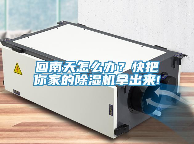回南天怎么辦？快把你家的除濕機拿出來!