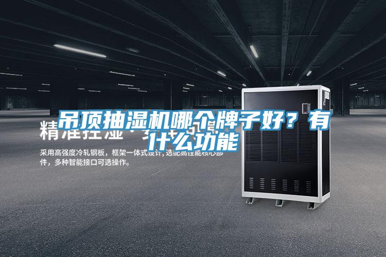 吊頂抽濕機哪個牌子好？有什么功能