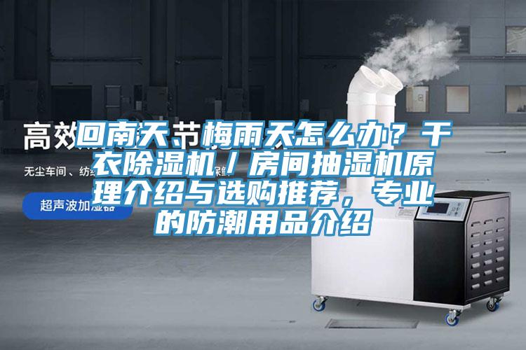 回南天、梅雨天怎么辦？干衣除濕機(jī)／房間抽濕機(jī)原理介紹與選購(gòu)?fù)扑]，專(zhuān)業(yè)的防潮用品介紹