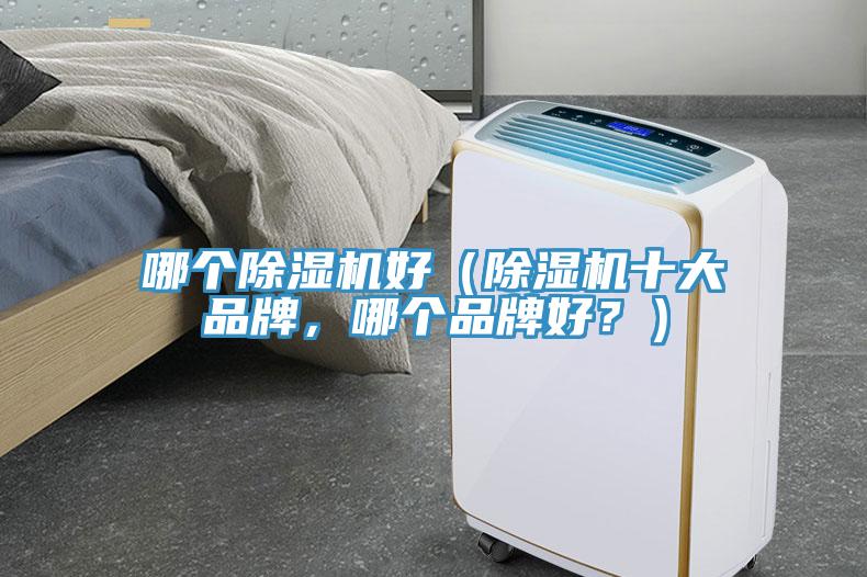 哪個除濕機(jī)好（除濕機(jī)十大品牌，哪個品牌好？）