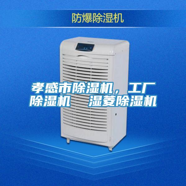 孝感市除濕機，工廠除濕機  濕菱除濕機
