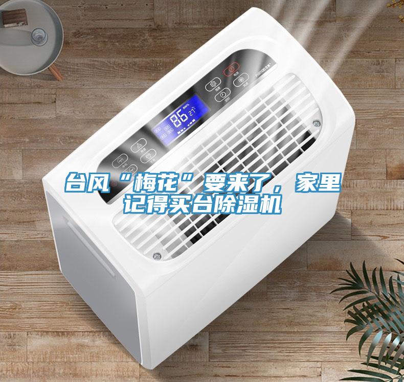 臺(tái)風(fēng)“梅花”要來(lái)了，家里記得買臺(tái)除濕機(jī)
