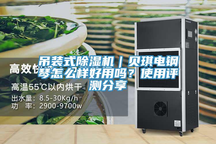 吊裝式除濕機｜貝琪電鋼琴怎么樣好用嗎？使用評測分享