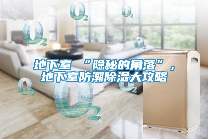 地下室≠“隱秘的角落”，地下室防潮除濕大攻略