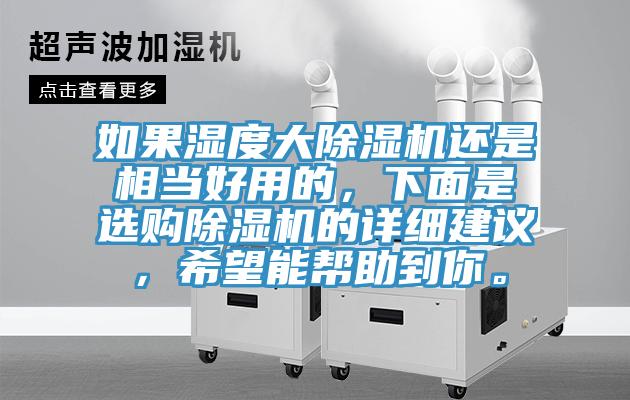 如果濕度大除濕機還是相當好用的，下面是選購除濕機的詳細建議，希望能幫助到你。