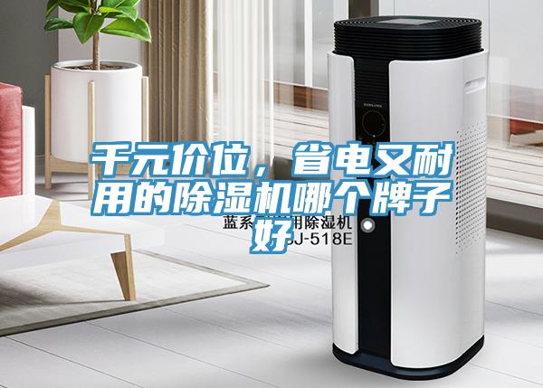 千元價位，省電又耐用的除濕機哪個牌子好