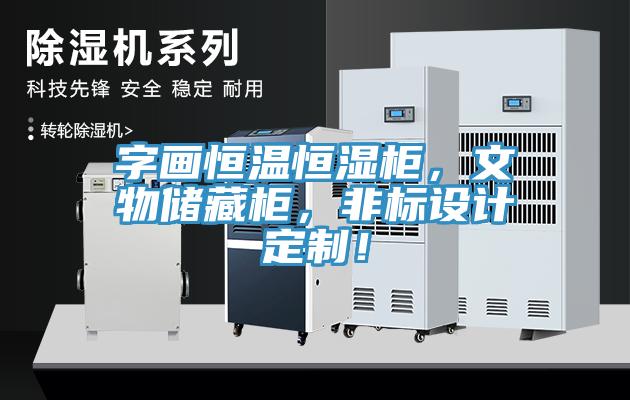字畫恒溫恒濕柜，文物儲藏柜，非標(biāo)設(shè)計定制！