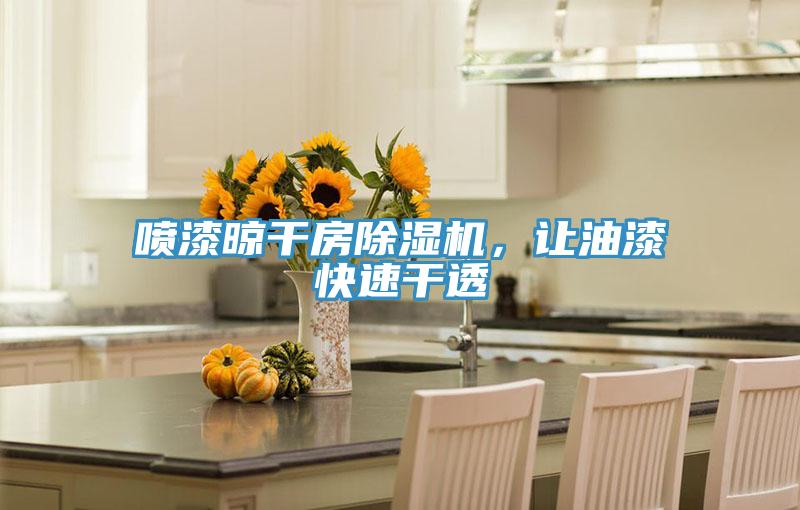 噴漆晾干房除濕機，讓油漆快速干透