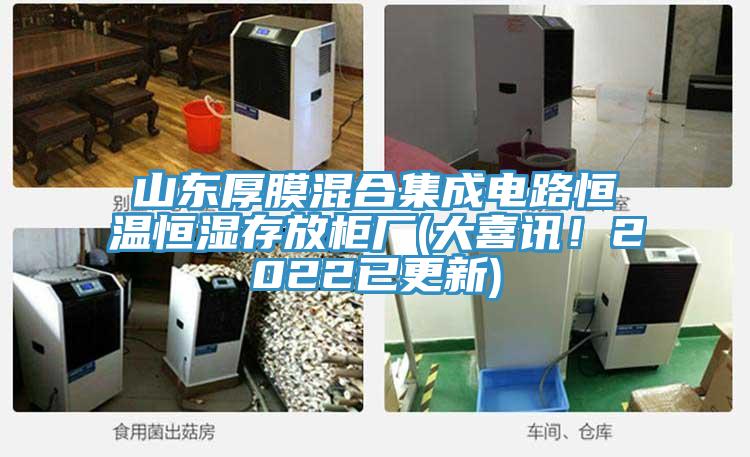 山東厚膜混合集成電路恒溫恒濕存放柜廠(大喜訊！2022已更新)