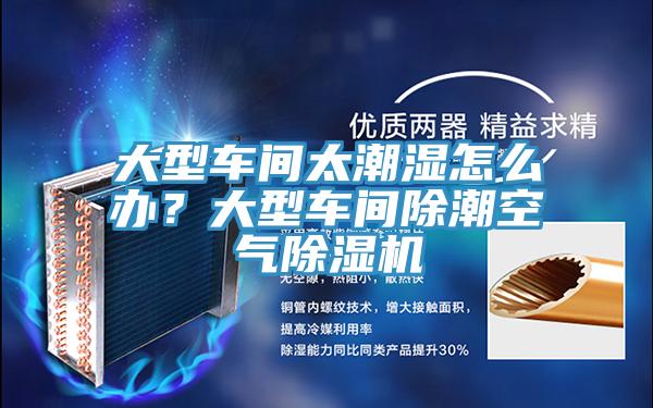 大型車間太潮濕怎么辦？大型車間除潮空氣除濕機(jī)