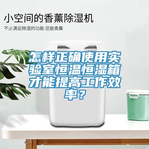 怎樣正確使用實(shí)驗(yàn)室恒溫恒濕箱才能提高工作效率？