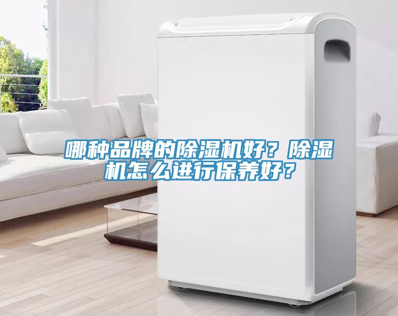 哪種品牌的除濕機(jī)好？除濕機(jī)怎么進(jìn)行保養(yǎng)好？