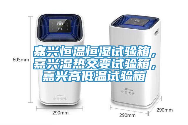 嘉興恒溫恒濕試驗(yàn)箱，嘉興濕熱交變?cè)囼?yàn)箱，嘉興高低溫試驗(yàn)箱