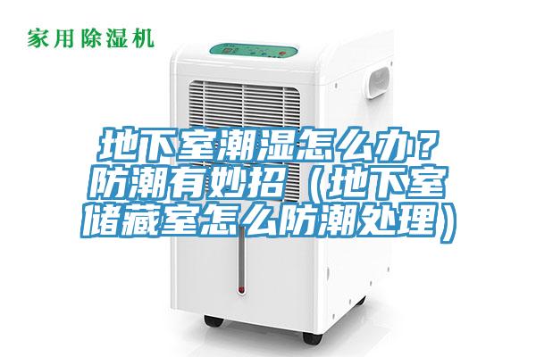 地下室潮濕怎么辦？防潮有妙招（地下室儲藏室怎么防潮處理）