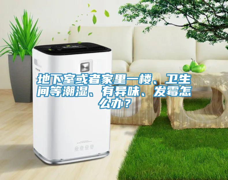 地下室或者家里一樓、衛(wèi)生間等潮濕、有異味、發(fā)霉怎么辦？