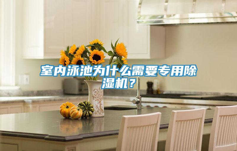 室內(nèi)泳池為什么需要專用除濕機？