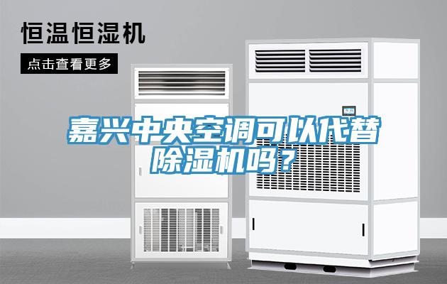 嘉興中央空調(diào)可以代替除濕機嗎？