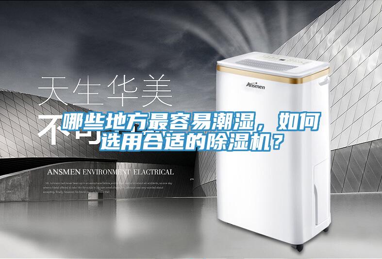 哪些地方最容易潮濕，如何選用合適的除濕機(jī)？