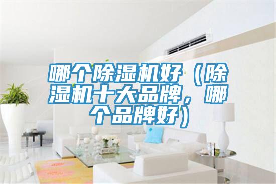 哪個除濕機(jī)好（除濕機(jī)十大品牌，哪個品牌好）