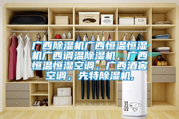 廣西除濕機廣西恒溫恒濕機廣西調(diào)溫除濕機，廣西恒溫恒濕空調(diào)，廣西酒窖空調(diào)，先特除濕機,