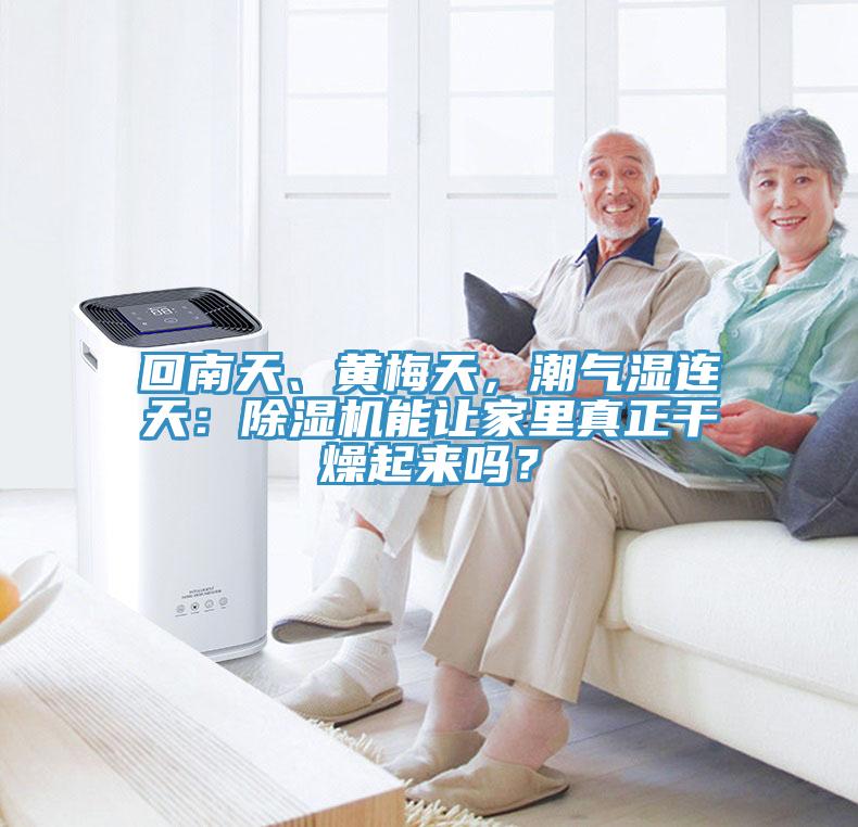 回南天、黃梅天，潮氣濕連天：除濕機(jī)能讓家里真正干燥起來(lái)嗎？