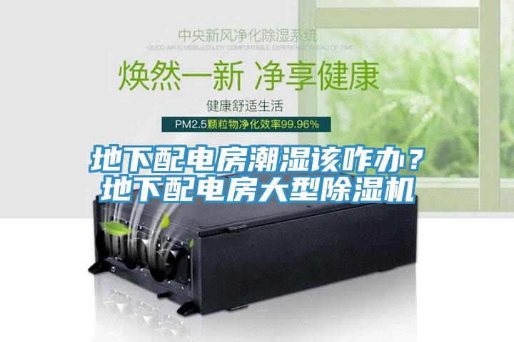 地下配電房潮濕該咋辦？地下配電房大型除濕機