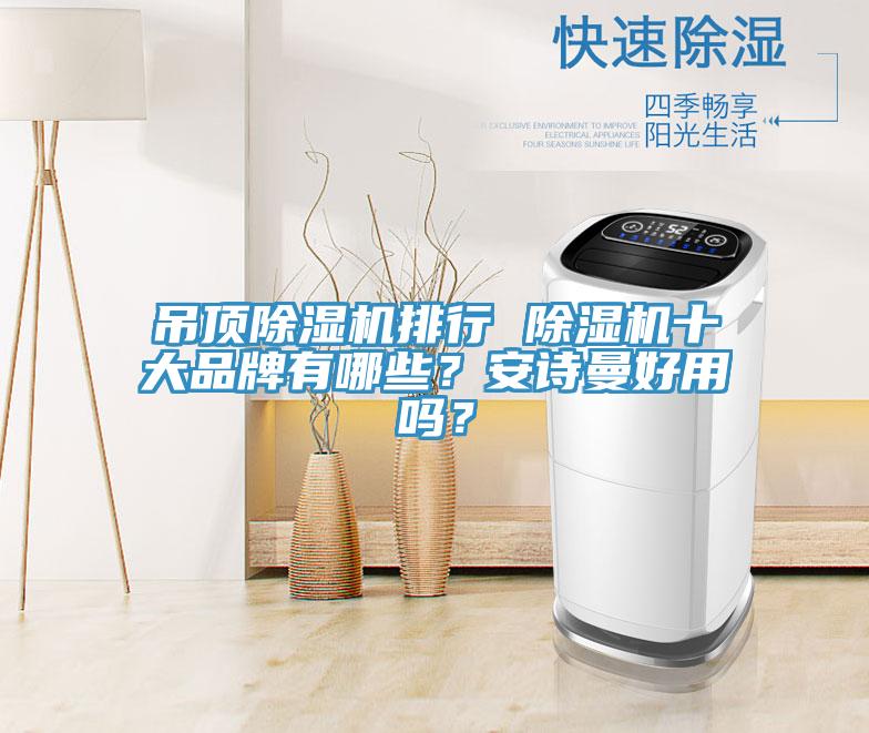 吊頂除濕機排行 除濕機十大品牌有哪些？安詩曼好用嗎？