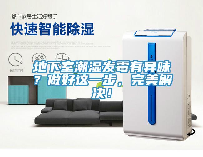 地下室潮濕發(fā)霉有異味？做好這一步，完美解決！
