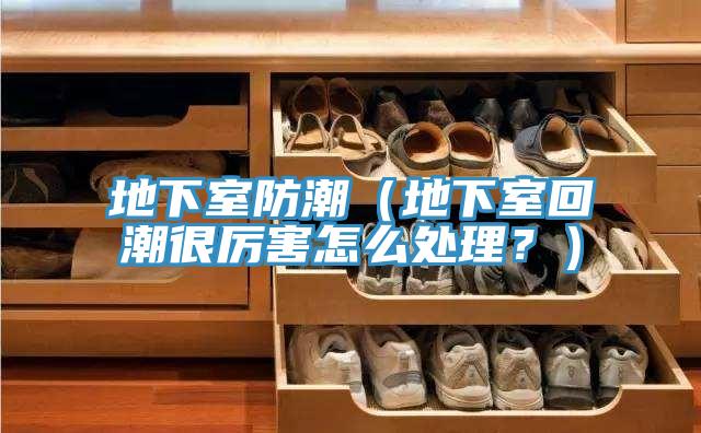 地下室防潮（地下室回潮很厲害怎么處理？）