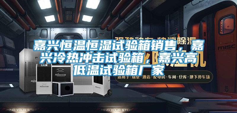 嘉興恒溫恒濕試驗(yàn)箱銷售，嘉興冷熱沖擊試驗(yàn)箱，嘉興高低溫試驗(yàn)箱廠家