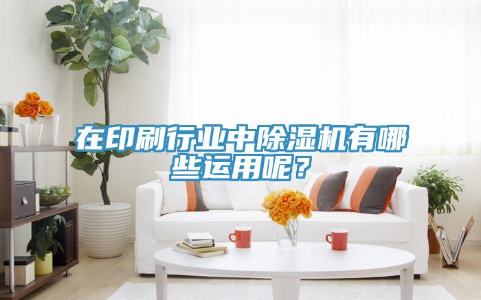 在印刷行業(yè)中除濕機(jī)有哪些運(yùn)用呢？