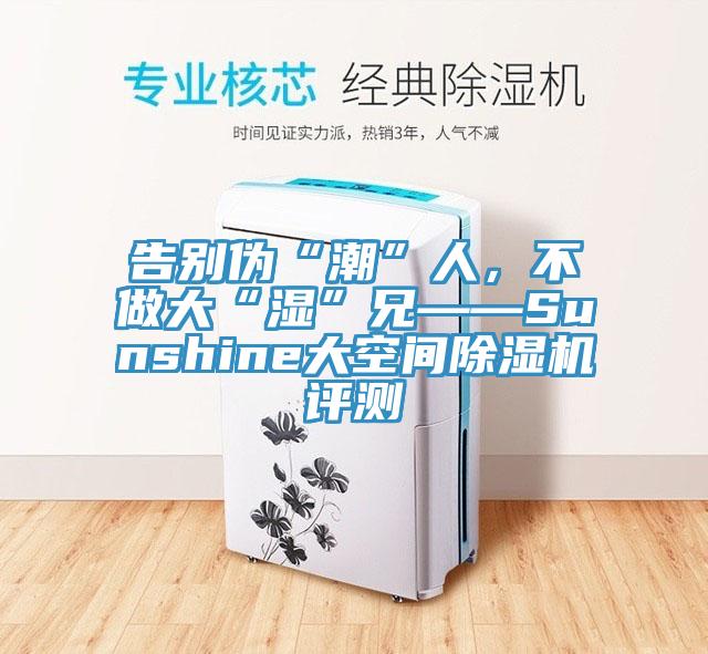 告別偽“潮”人，不做大“濕”兄——Sunshine大空間除濕機(jī)評(píng)測(cè)