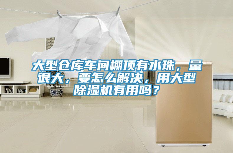 大型倉庫車間棚頂有水珠，量很大，要怎么解決，用大型除濕機有用嗎？