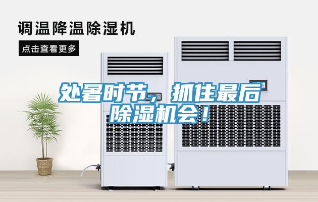 處暑時(shí)節(jié)，抓住最后除濕機(jī)會(huì)！